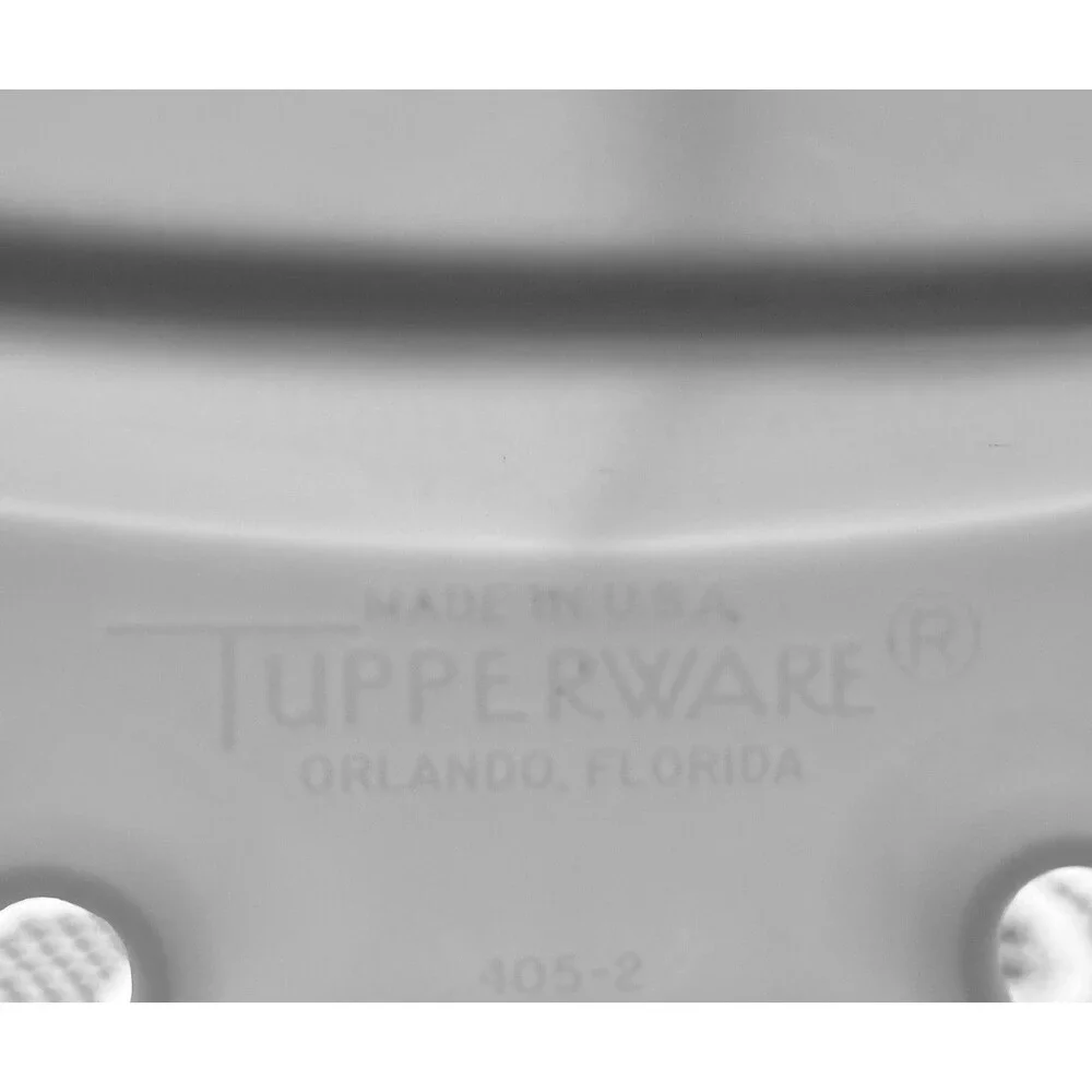 Tupperware Divided Tray 12